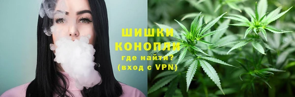 винт Верея