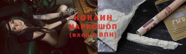 винт Верея