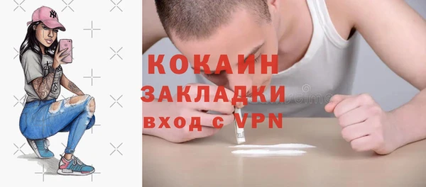 винт Верея