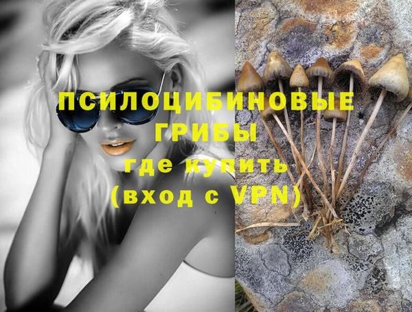 2c-b Верхний Тагил