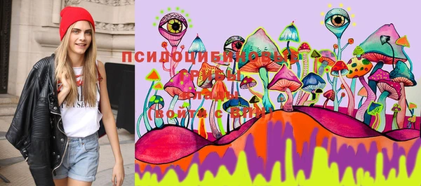винт Верея
