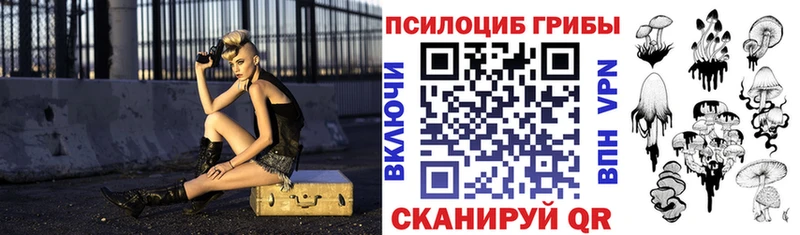 Псилоцибиновые грибы Psilocybe  Купить  Вичуга 